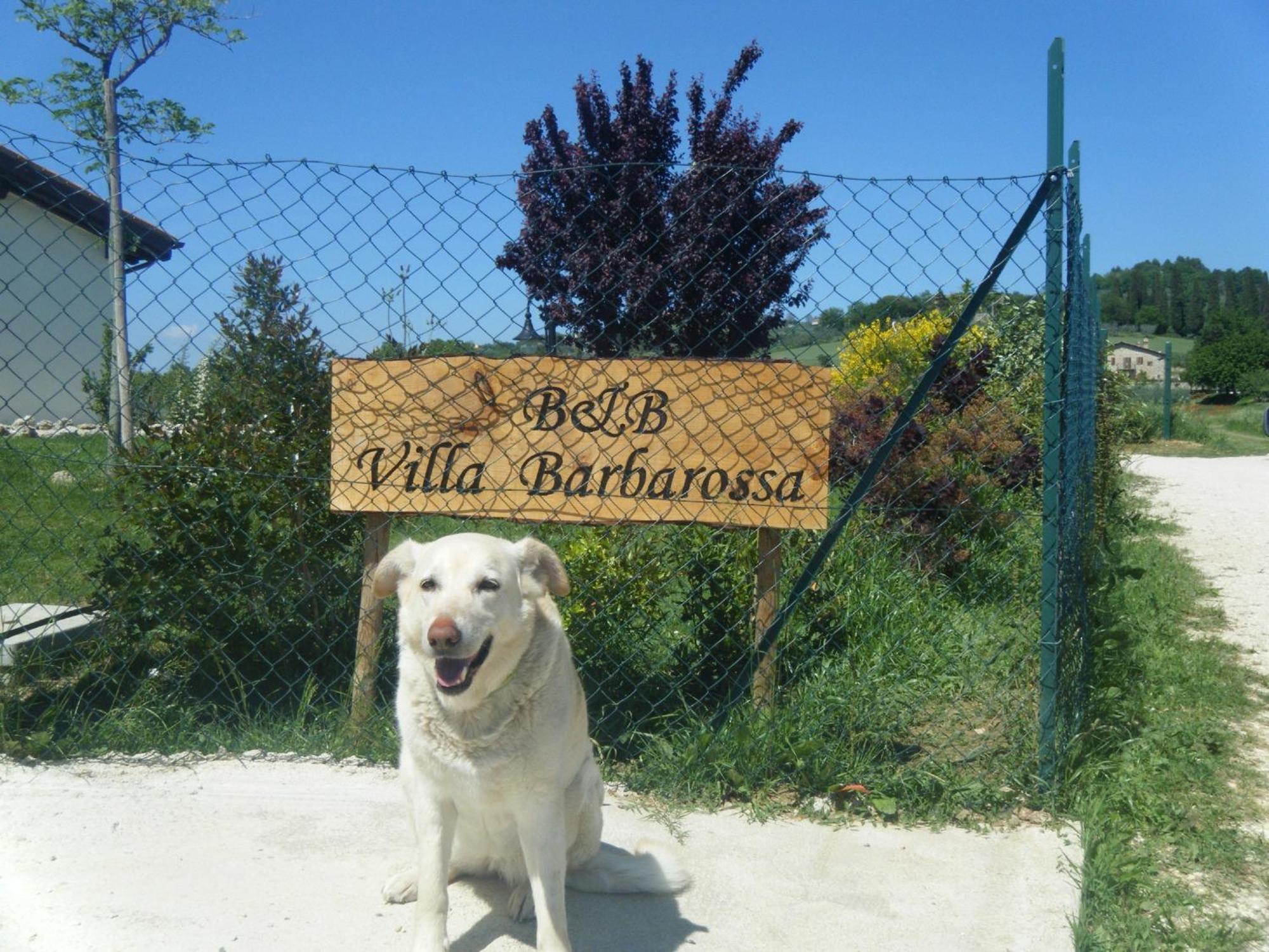 B&B Villa Barbarossa Petrignano Kültér fotó